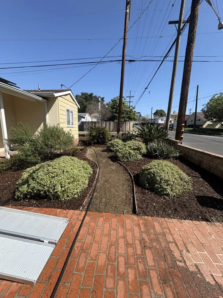 Castillo Groundworks recent landscape project — Los Angeles