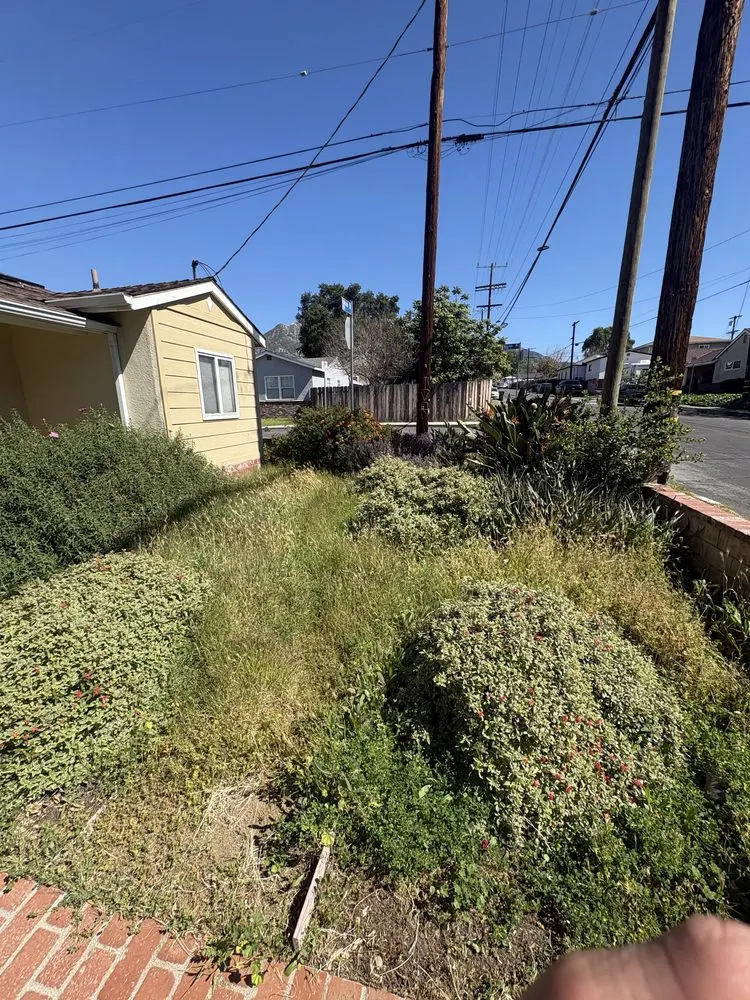 Castillo Groundworks recent landscape project — Los Angeles