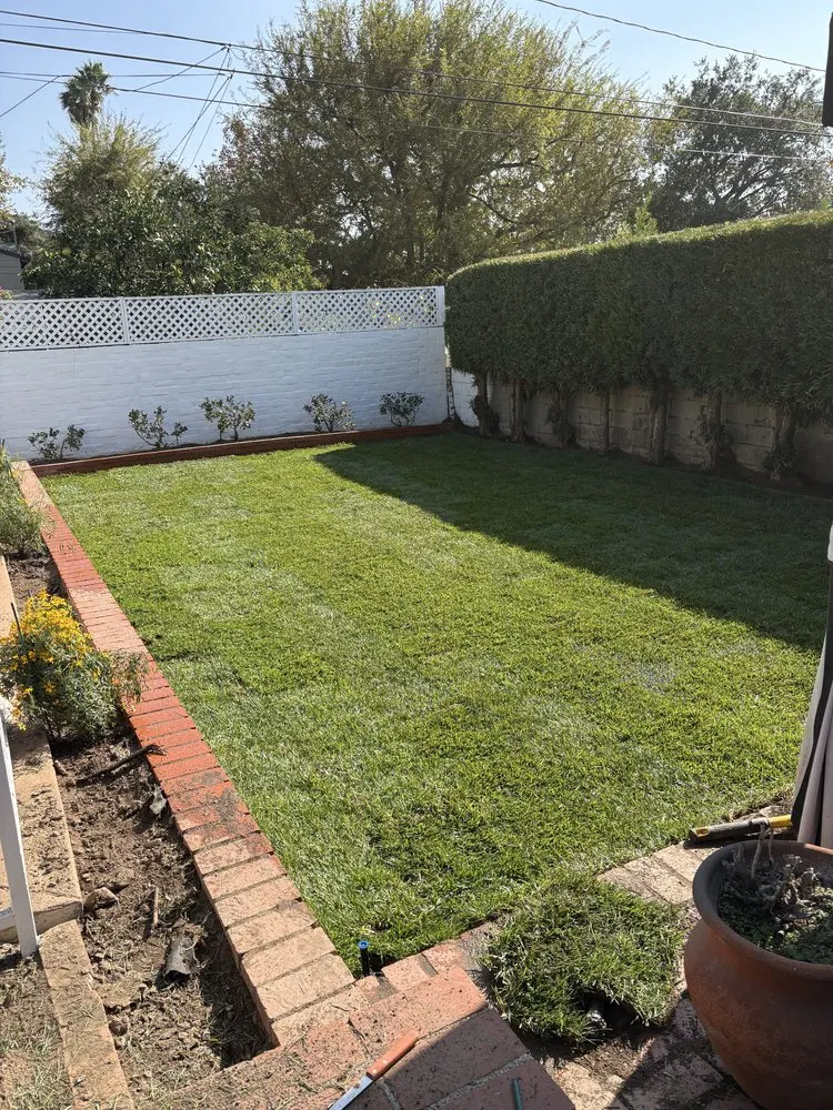 Castillo Groundworks recent landscape project — Los Angeles