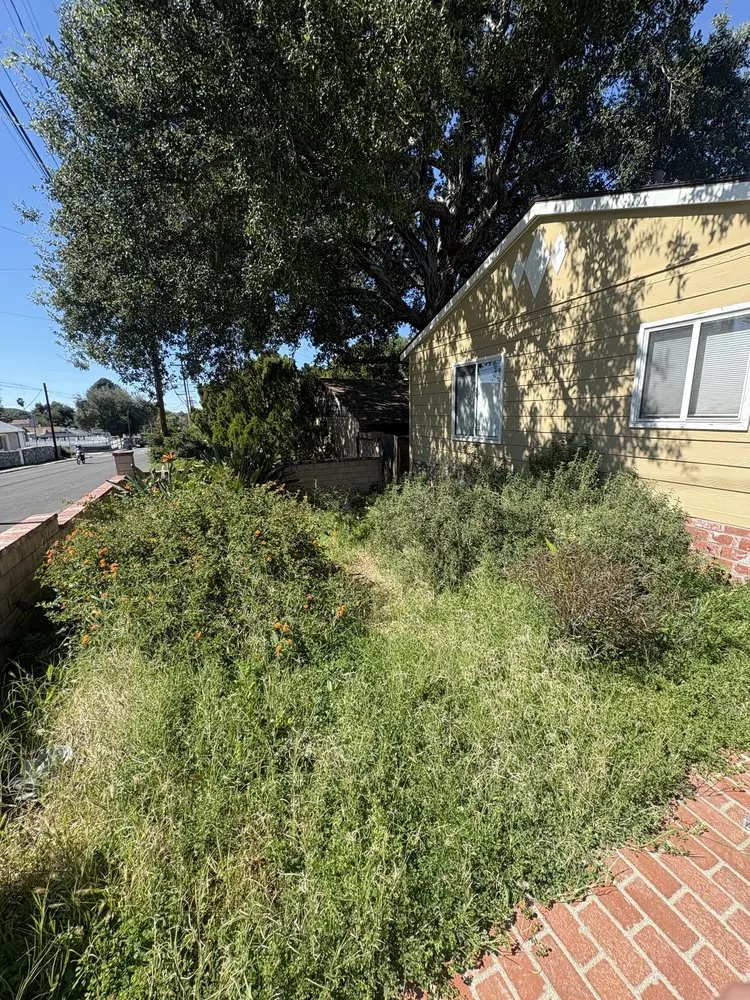 Castillo Groundworks recent landscape project — Los Angeles