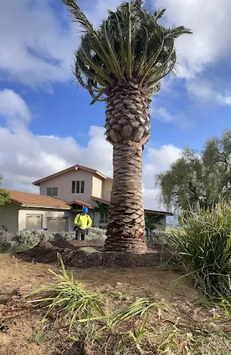 Castillo Groundworks recent landscape project — Los Angeles