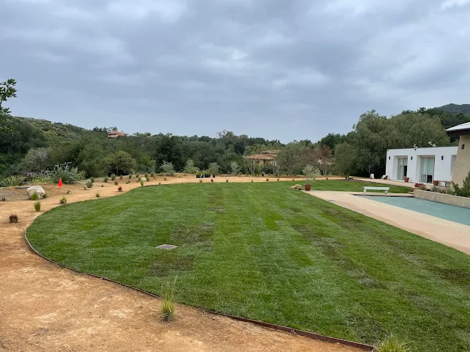 Fresh lawn installation at a residential property