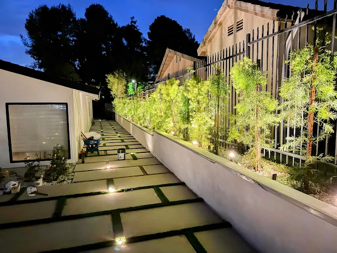 Landscape wall lighting and planting